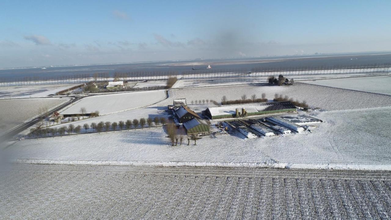 Appartement De Graanzolder Aan Zeeuwse Kust Hoofdplaat Extérieur photo
