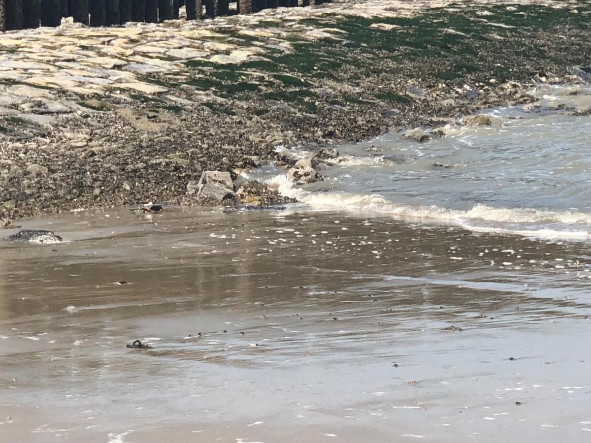 Appartement De Graanzolder Aan Zeeuwse Kust Hoofdplaat Extérieur photo