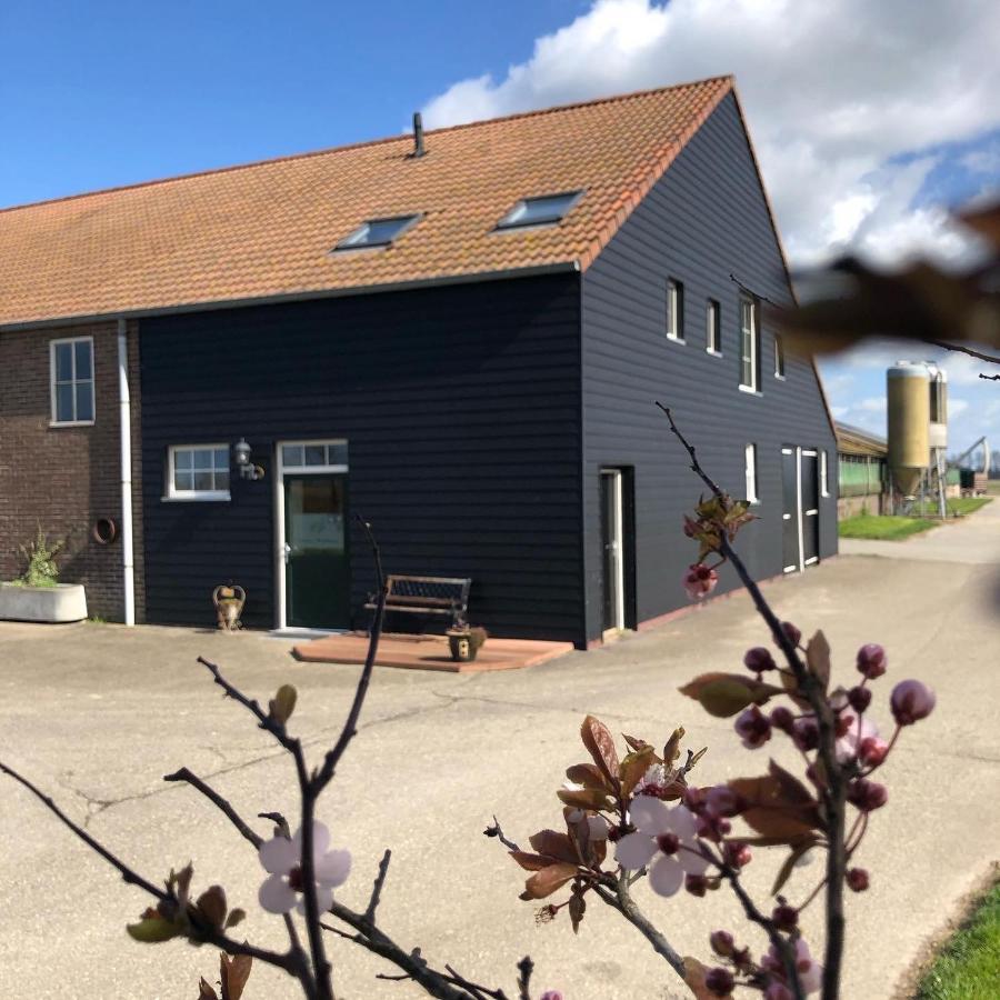 Appartement De Graanzolder Aan Zeeuwse Kust Hoofdplaat Extérieur photo