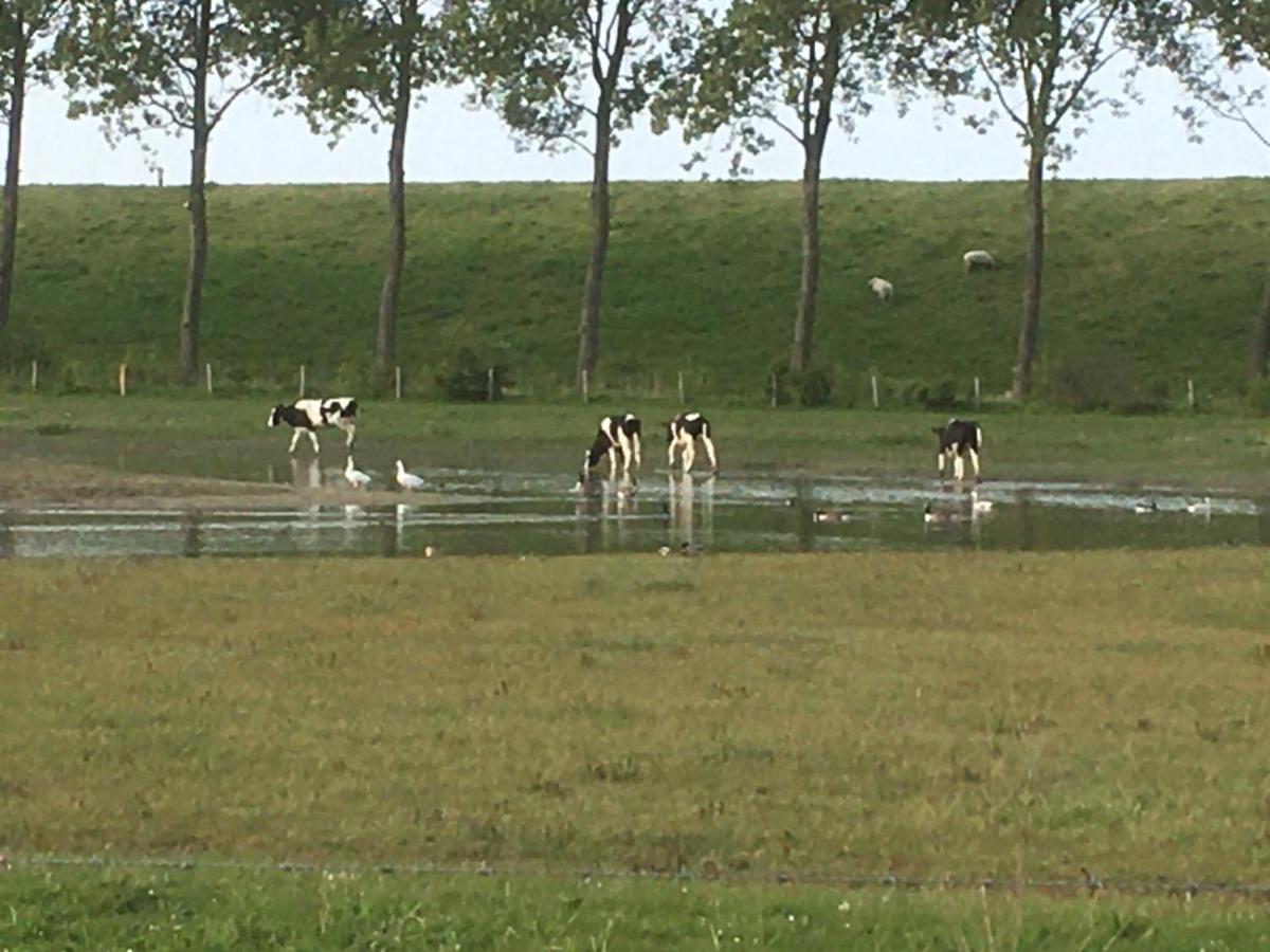 Appartement De Graanzolder Aan Zeeuwse Kust Hoofdplaat Extérieur photo