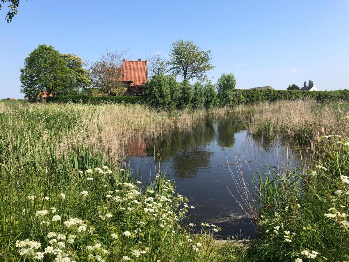 Appartement De Graanzolder Aan Zeeuwse Kust Hoofdplaat Extérieur photo
